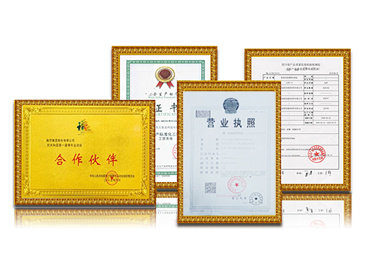 東脈簡介